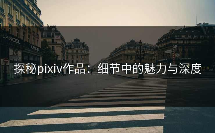 探秘pixiv作品：细节中的魅力与深度-第1张图片-p站助手短视频 - p站搬运工影视网