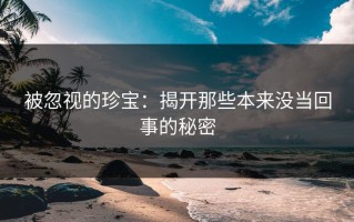 被忽视的珍宝：揭开那些本来没当回事的秘密