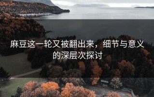 麻豆这一轮又被翻出来，细节与意义的深层次探讨