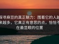 探寻麻豆的真正魅力：围着它的人越来越多，它真正有意思的点，恰恰不在最显眼的位置