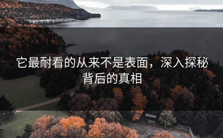 它最耐看的从来不是表面,深入探秘背后的真相-第1张图片-p站助手短视频 - p站搬运工影视网 它最耐看的从来不是表面,深入探秘背后的真相-第1张图片-p站助手短视频 - p站搬运工影视网